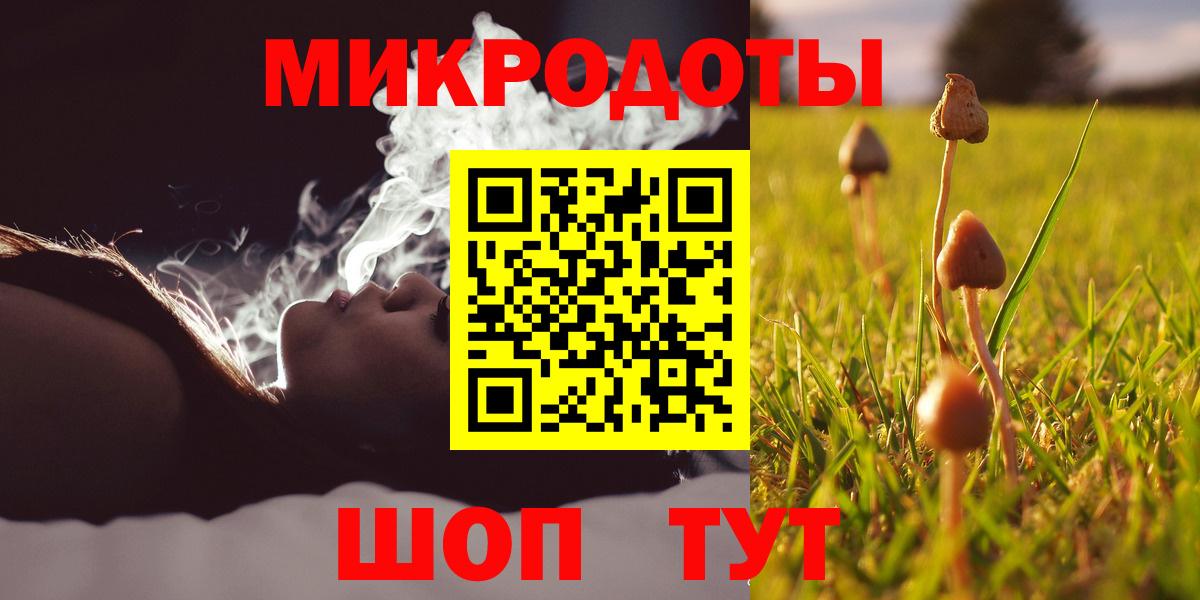 Псилоцибиновые грибы Psilocybe  Галлюциногенные грибы GOLDEN TEACHER  Майкоп  Вход с VPN 