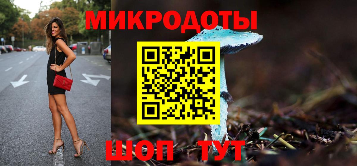 Галлюциногенные грибы Psilocybine cubensis Майкоп